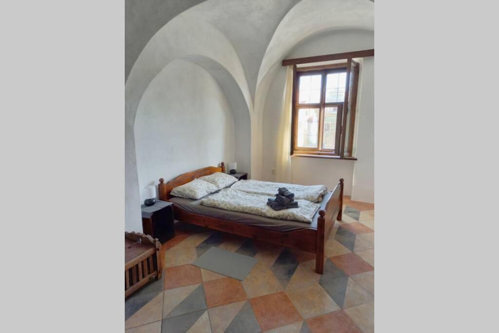 טלץ' Renaissance Vintage Apartment A1 מראה חיצוני תמונה